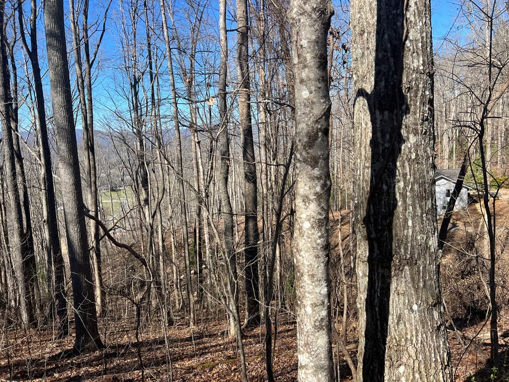Lots 7&8 Wikle Road, Hayesville NC 28904 - Photo