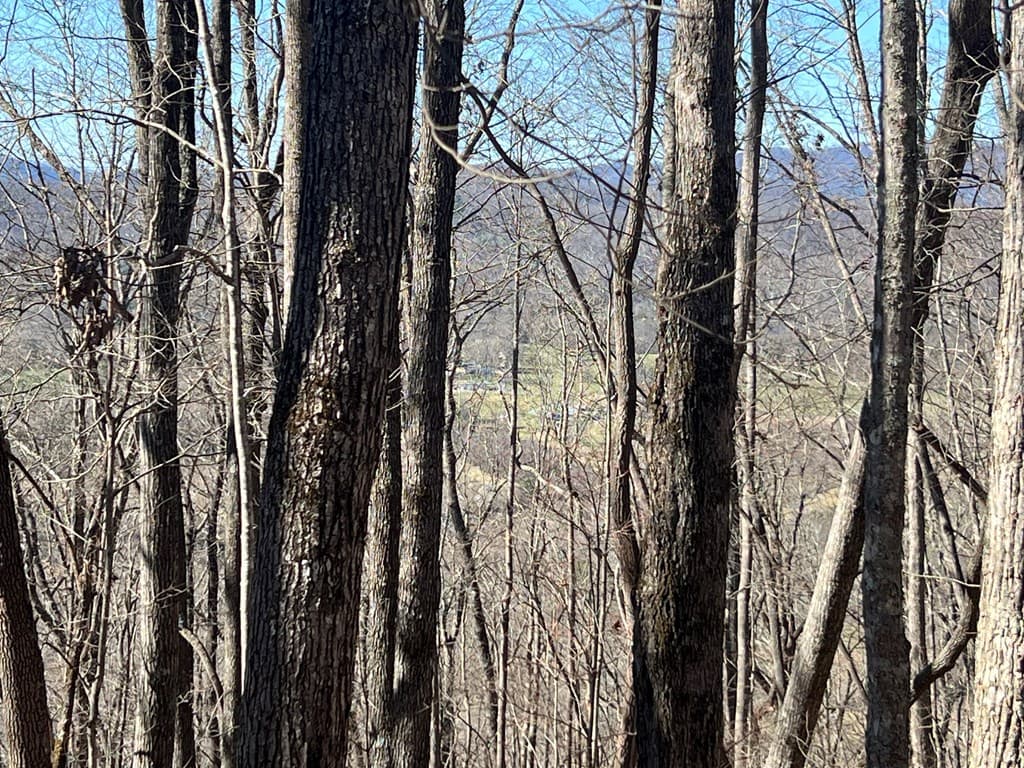 Lots 7&8 Wikle Road, Hayesville NC 28904 - Photo