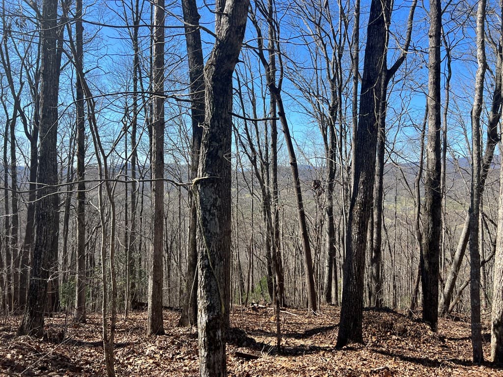 Lots 7&8 Wikle Road, Hayesville NC 28904 - Photo