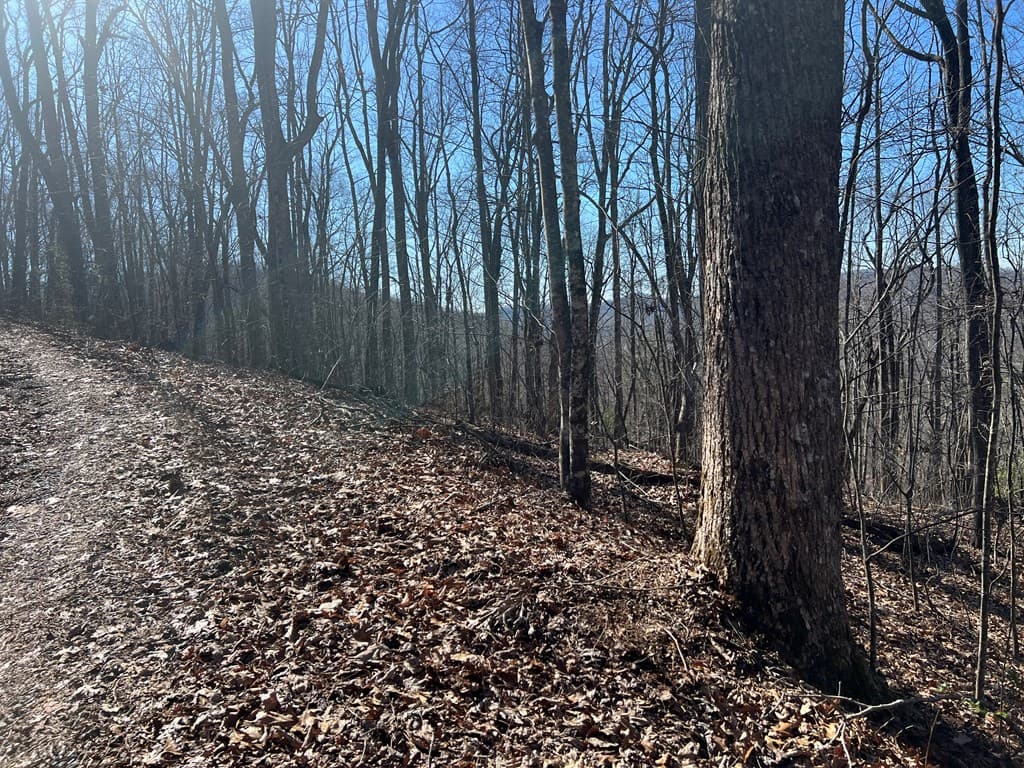 Lots 7&8 Wikle Road, Hayesville NC 28904 - Photo