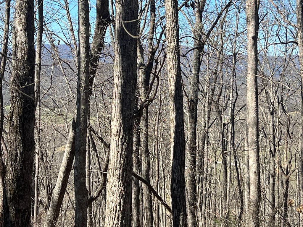 Lots 7&8 Wikle Road, Hayesville NC 28904 - Photo