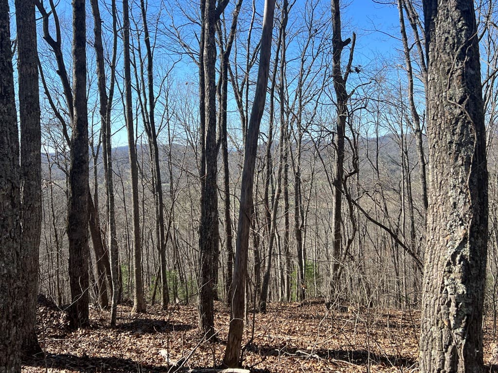 Lots 7&8 Wikle Road, Hayesville NC 28904 - Photo