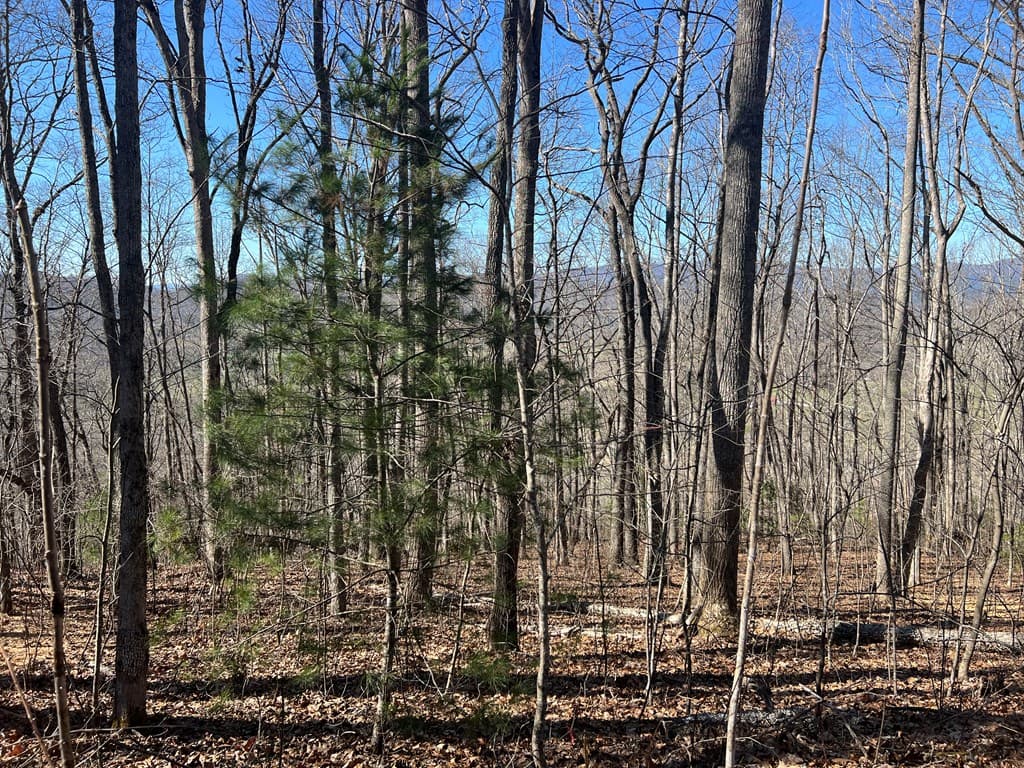 Lots 7&8 Wikle Road, Hayesville NC 28904 - Photo