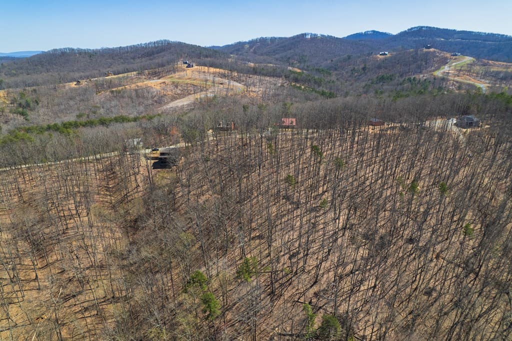 Lot 35 Heatherwood Way, Talking Rock GA 30175 - Photo