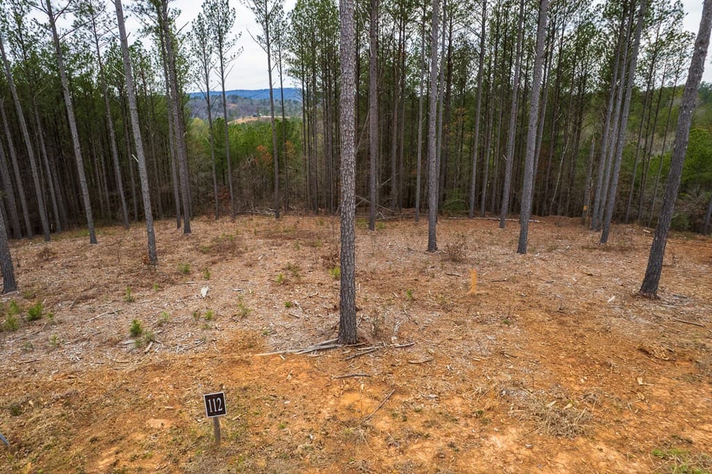 Lot 112 Blalock Mountain Road, Talking Rock GA 30175 - Photo