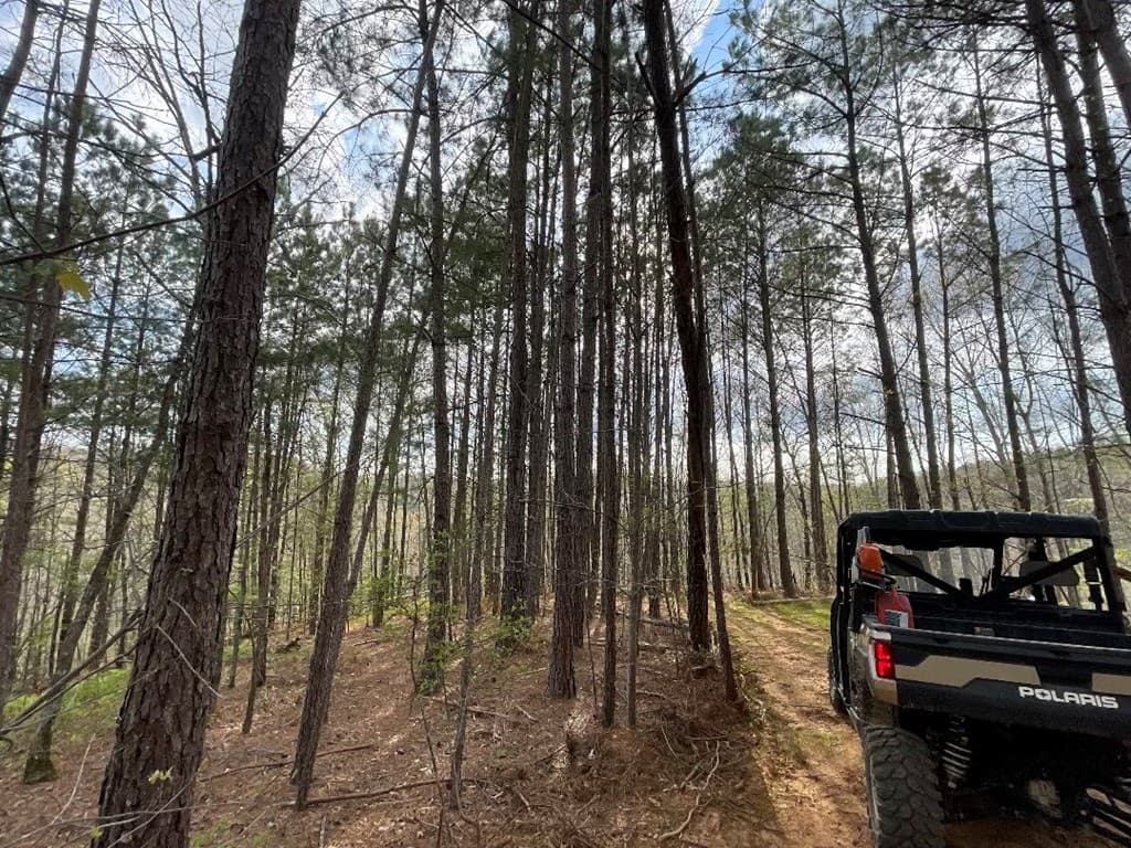 0000 Shady Grove Road, Talking Rock GA 30175 - Photo