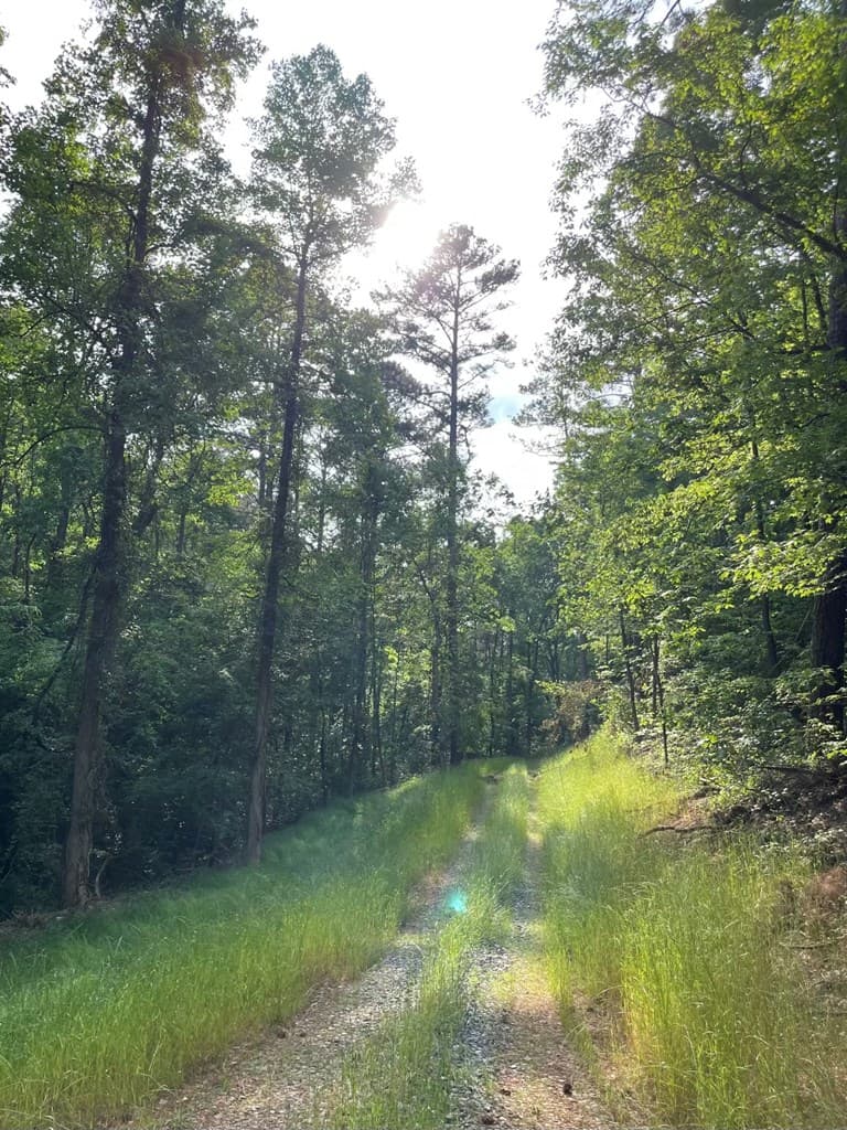 0000 Shady Grove Road, Talking Rock GA 30175 - Photo