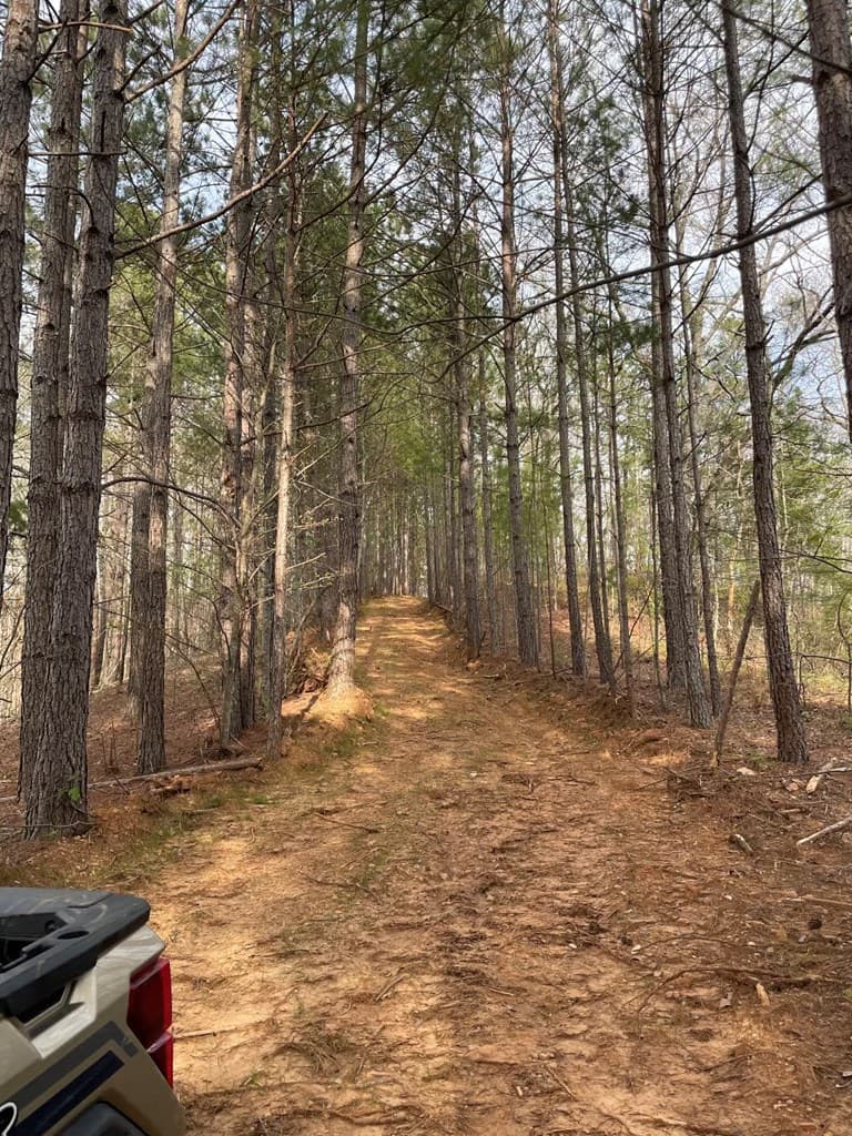 0000 Shady Grove Road, Talking Rock GA 30175 - Photo