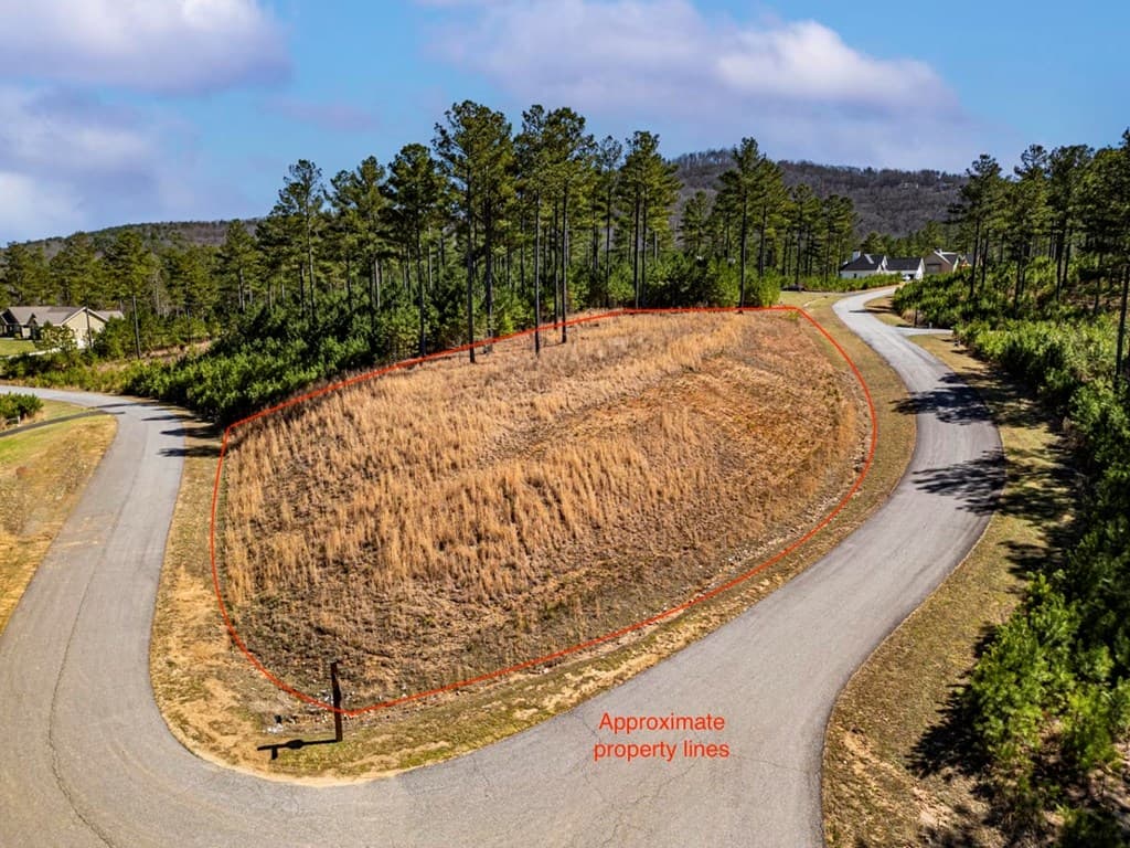0 Loop Lane, Blairsville GA 30512 - Photo