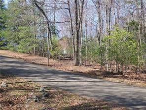 0 Trails End Summit, Ellijay GA 30540 - Photo