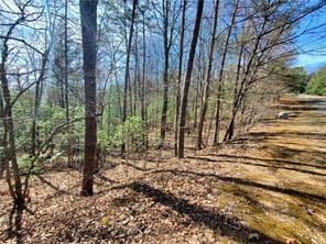 0 Trails End Summit, Ellijay GA 30540 - Photo