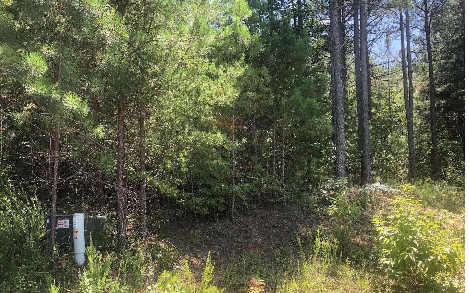 37 Loftis Mountain, Blairsville GA 30512 - Photo