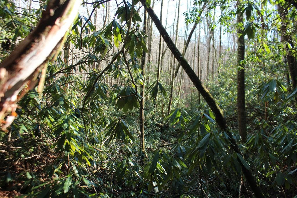 Tract B Highland Cove, Hayesville NC 28904 - Photo