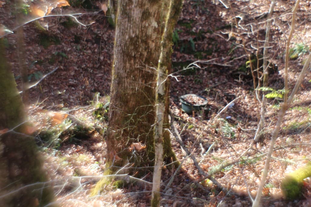 Tract B Highland Cove, Hayesville NC 28904 - Photo