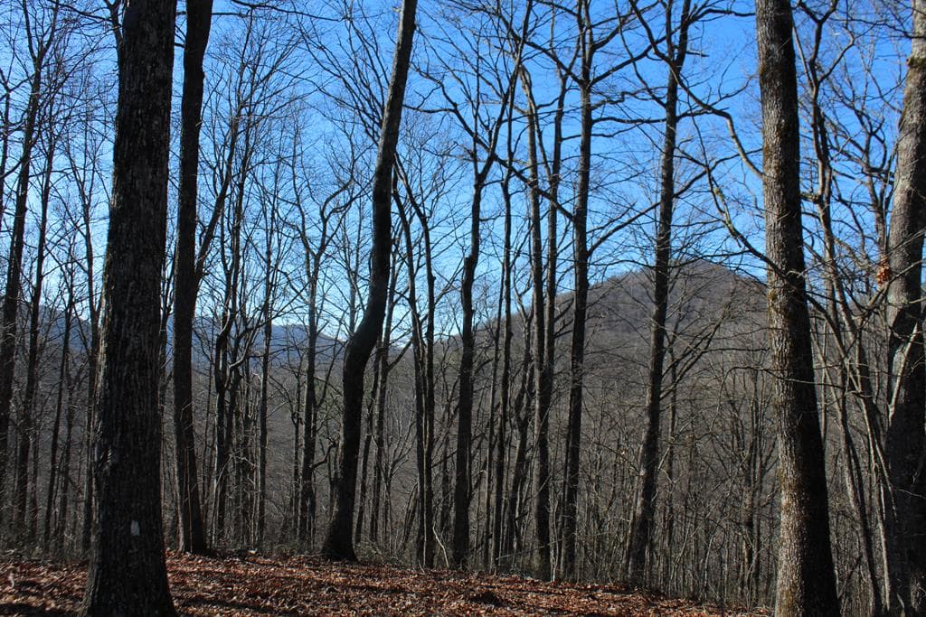 Tract B Highland Cove, Hayesville NC 28904 - Photo