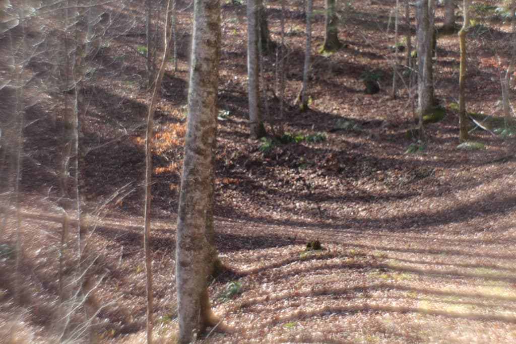 Tract B Highland Cove, Hayesville NC 28904 - Photo