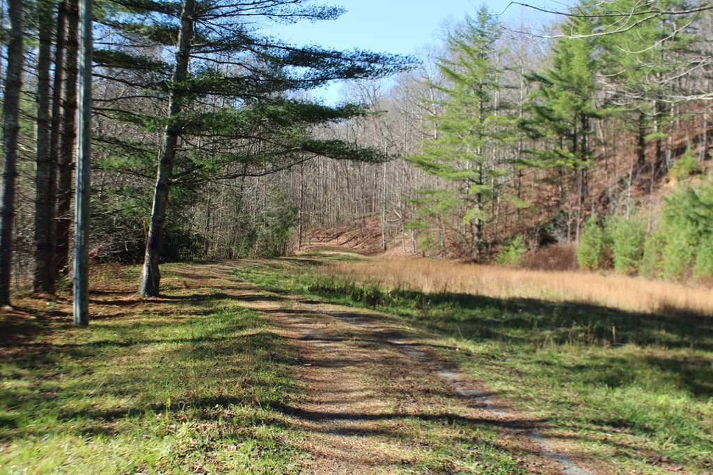 Tract B Highland Cove, Hayesville NC 28904 - Photo