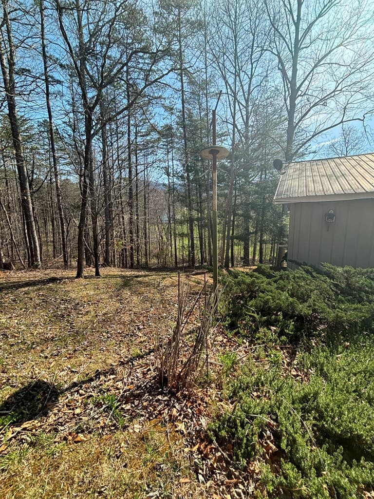 36 Benson Drive, Blairsville GA 30512 - Photo