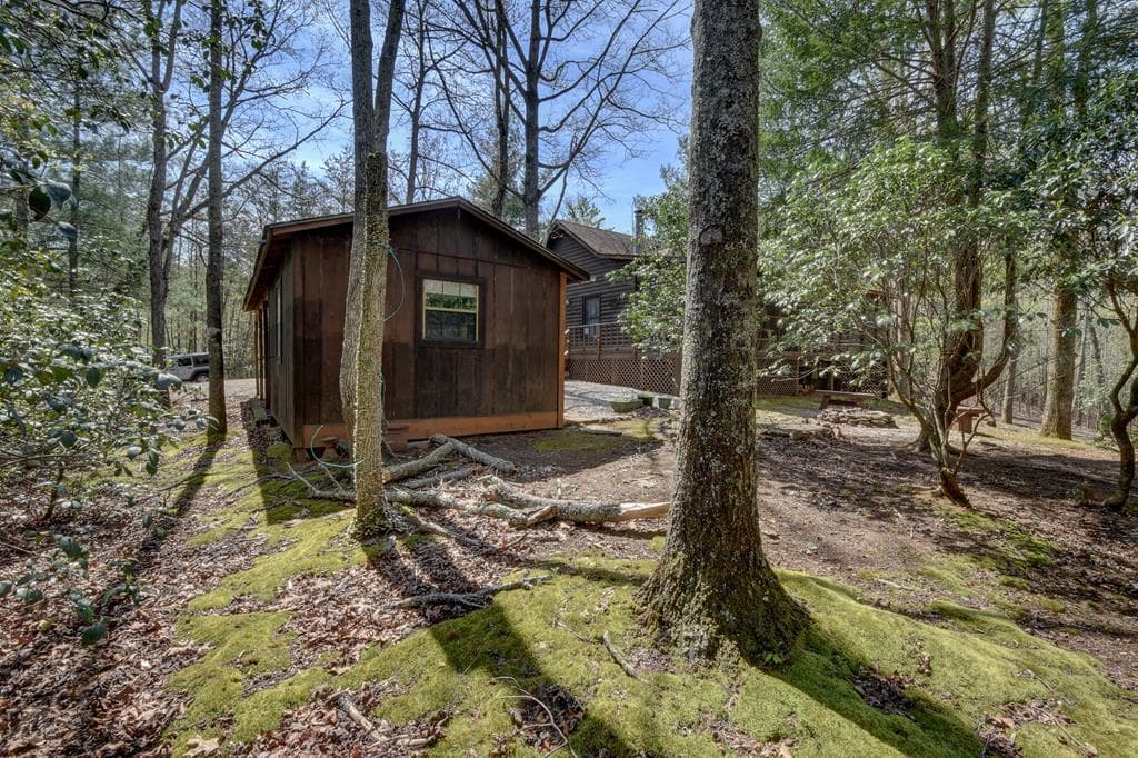 169 Wildhorse Cove Circle, Cleveland GA 30528 - Photo