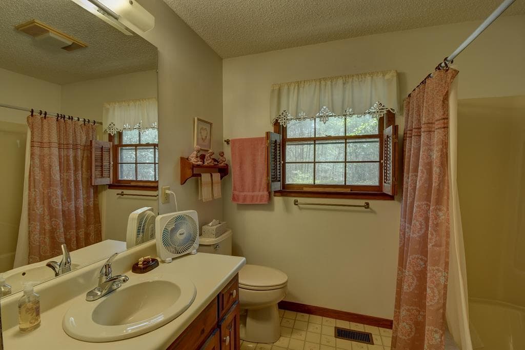 169 Wildhorse Cove Circle, Cleveland GA 30528 - Photo
