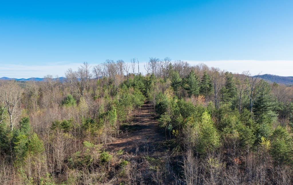 41AC Loving Road, Blairsville GA 30512 - Photo