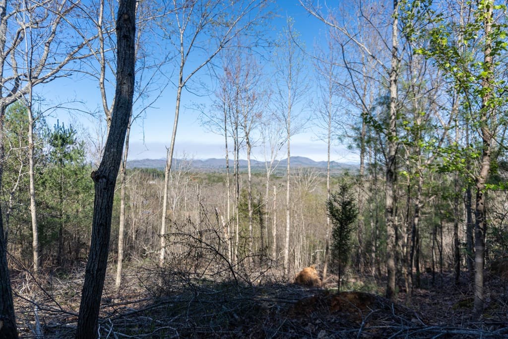 41AC Loving Road, Blairsville GA 30512 - Photo