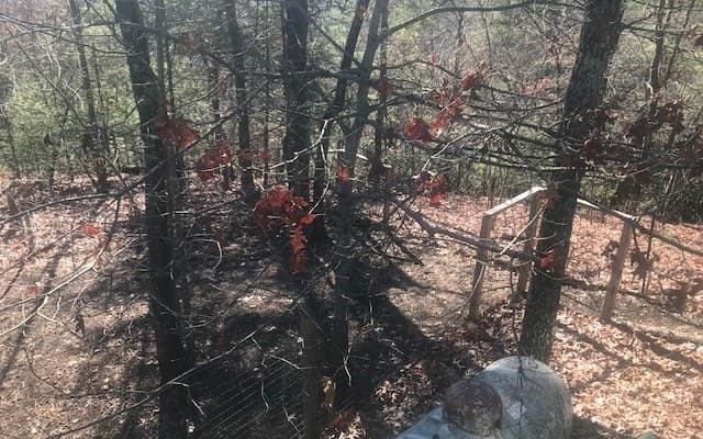 1248 Spaniard Point Road, Hiawassee GA 30546 - Photo