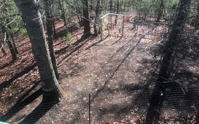 1248 Spaniard Point Road, Hiawassee GA 30546 - Photo