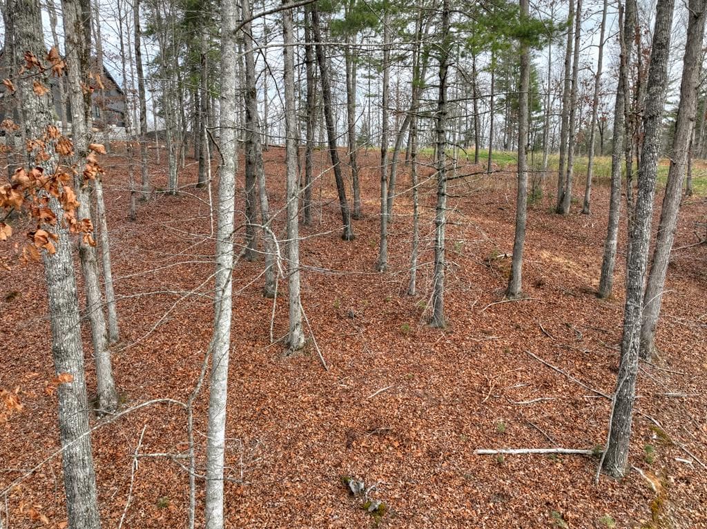 Lot 133 Ridges Of Blue Ridge, Morganton GA 30560 - Photo