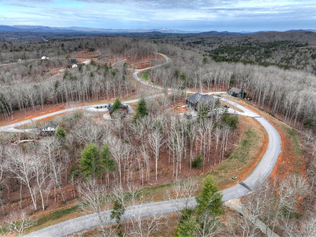 Lot 133 Ridges Of Blue Ridge, Morganton GA 30560 - Photo