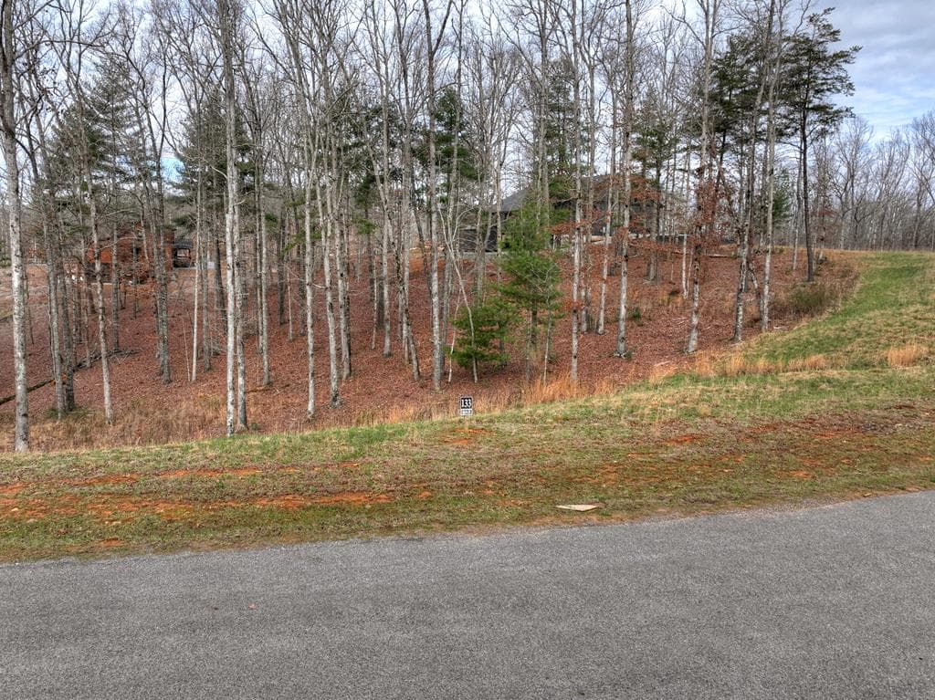 Lot 133 Ridges Of Blue Ridge, Morganton GA 30560 - Photo