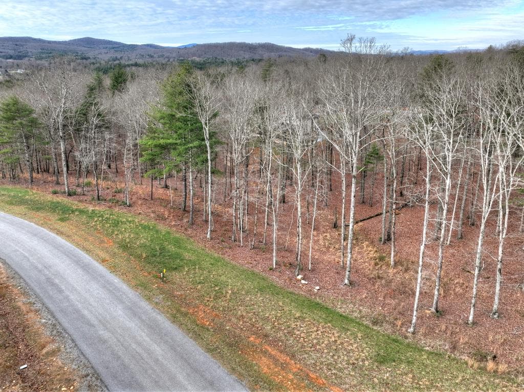 Lot 133 Ridges Of Blue Ridge, Morganton GA 30560 - Photo