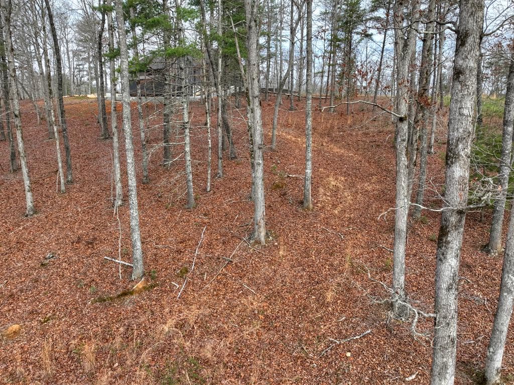 Lot 133 Ridges Of Blue Ridge, Morganton GA 30560 - Photo