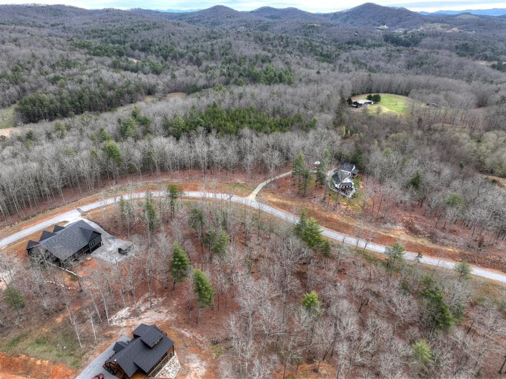 Lot 133 Ridges Of Blue Ridge, Morganton GA 30560 - Photo