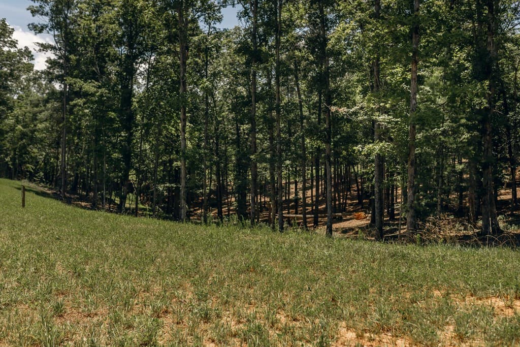Lot 133 Ridges Of Blue Ridge, Morganton GA 30560 - Photo
