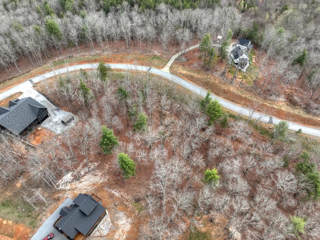 Lot 133 Ridges Of Blue Ridge, Morganton GA 30560 - Photo