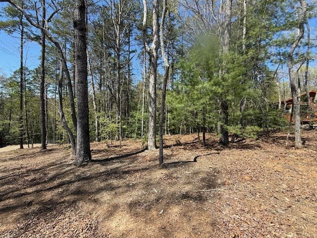 Lot 2 Lynae Lane, Murphy NC 28906 - Photo