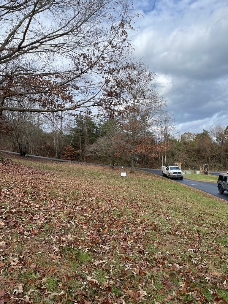 0 Skipper Lane, Hiawassee GA 30546 - Photo