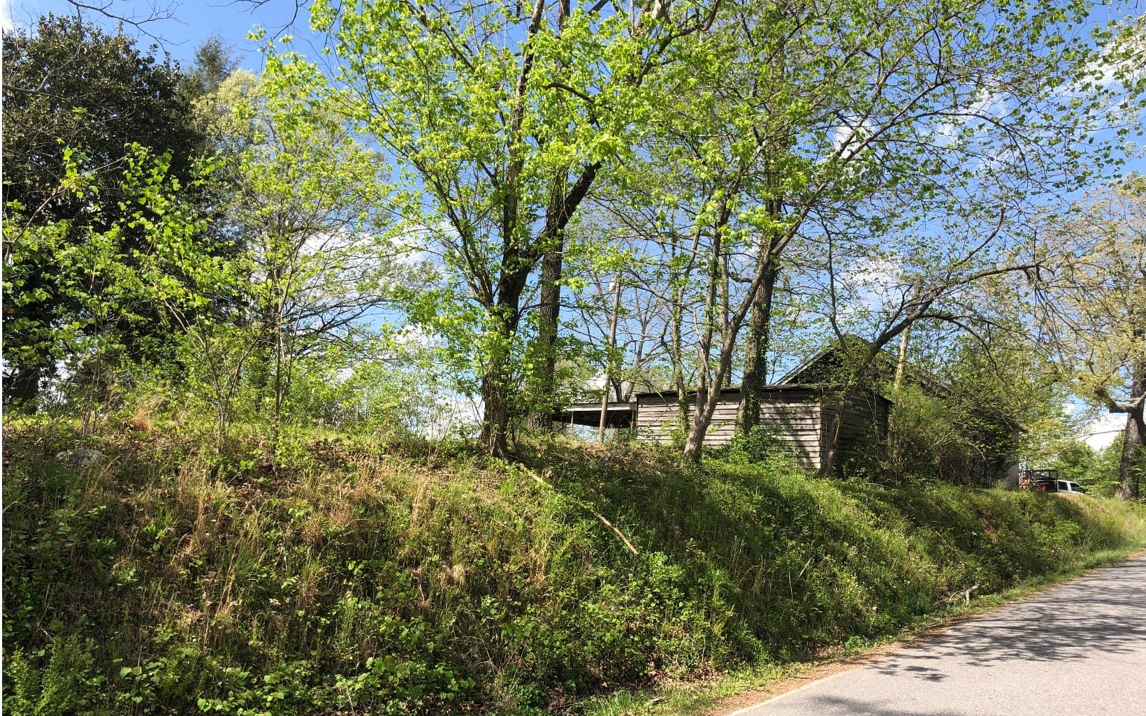 742 E 2nd Street, Blue Ridge GA 30513 - Photo