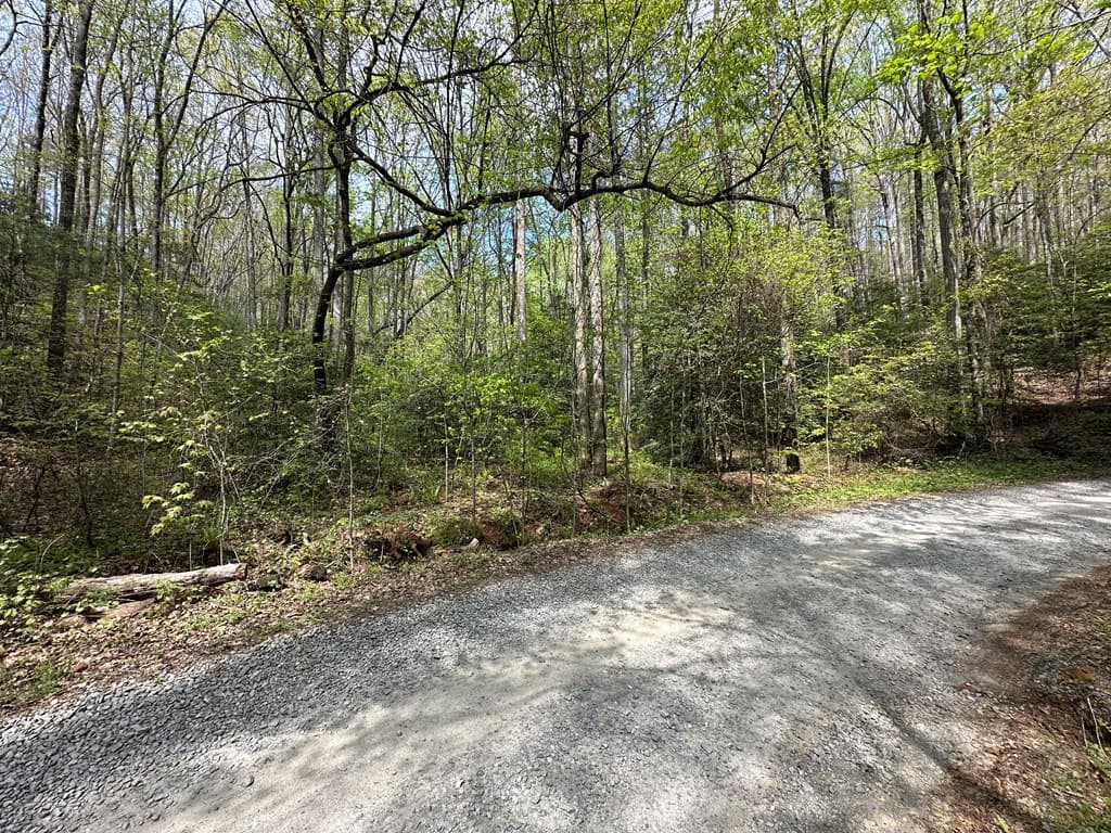 Lot 20 Big Ben Road, Ellijay GA 30540 - Photo