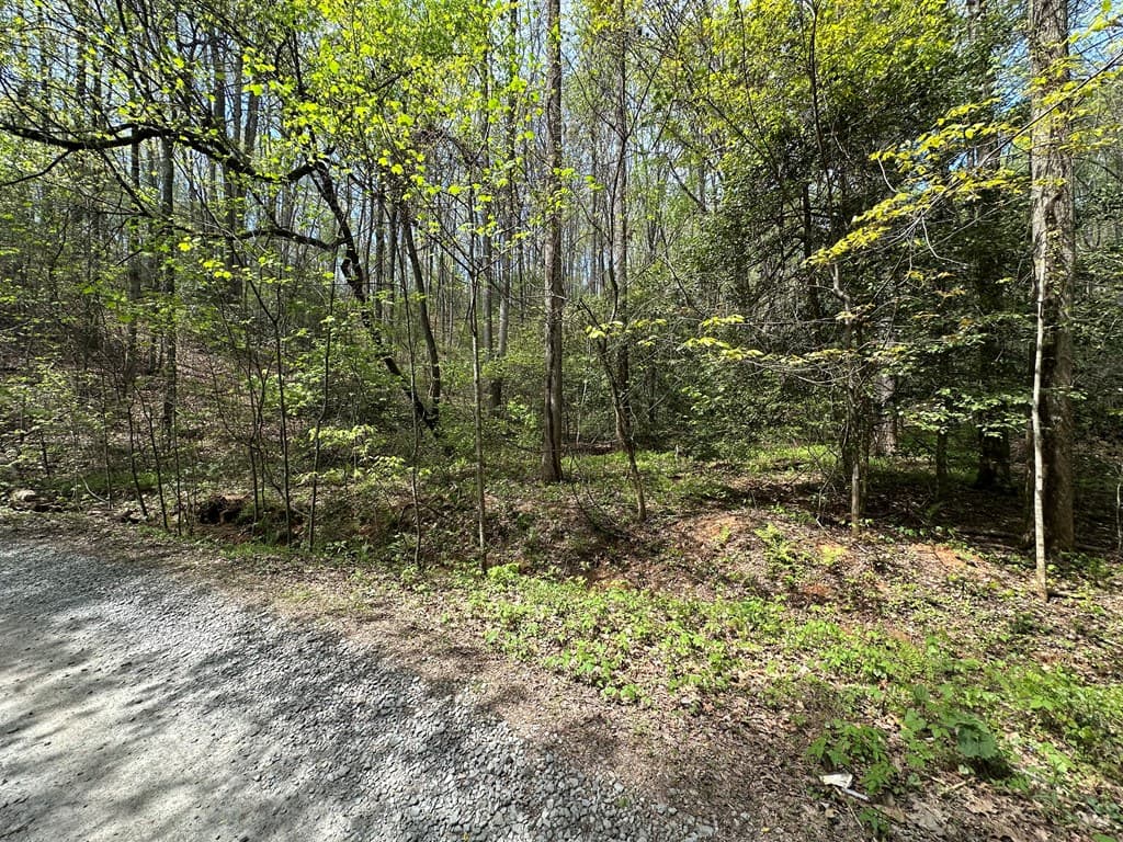 Lot 20 Big Ben Road, Ellijay GA 30540 - Photo