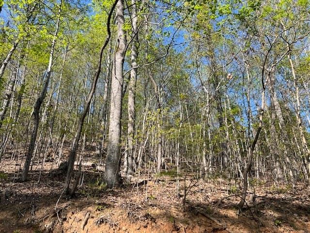 Lot 2B Grandview Drive, Hayesville NC 28904 - Photo