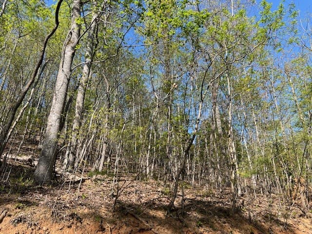 Lot 2B Grandview Drive, Hayesville NC 28904 - Photo