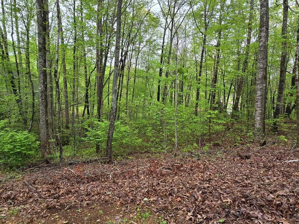 Lot 69 Chatuge Village, Hayesville NC 28904 - Photo