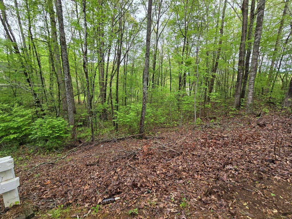 Lot 69 Chatuge Village, Hayesville NC 28904 - Photo