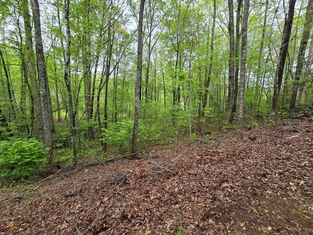 Lot 69 Chatuge Village, Hayesville NC 28904 - Photo