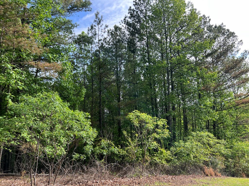 Lot 25 Loftis Mountain, Blairsville GA 30512 - Photo
