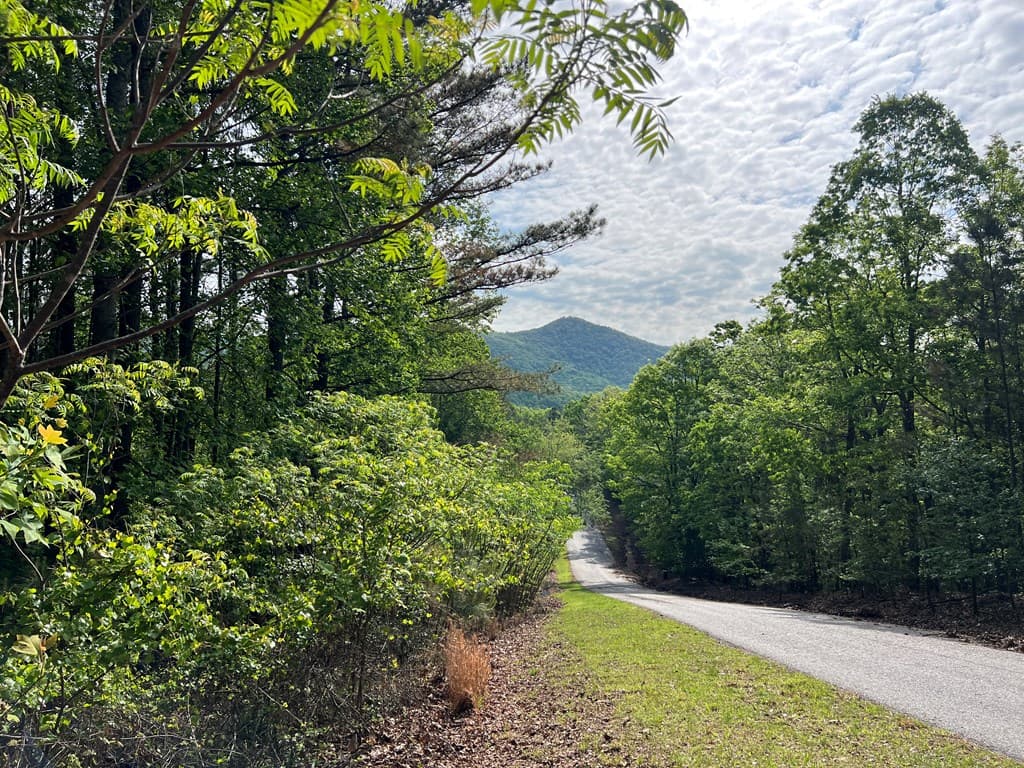 Lot 25 Loftis Mountain, Blairsville GA 30512 - Photo