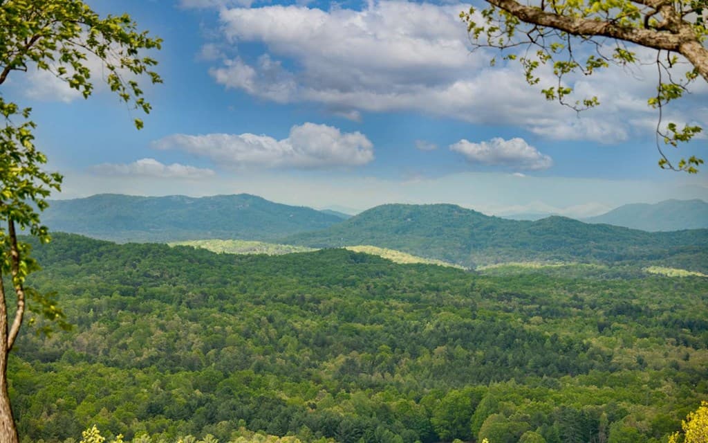 Lot 25 Scouts Overlook, Morganton GA 30560 - Photo