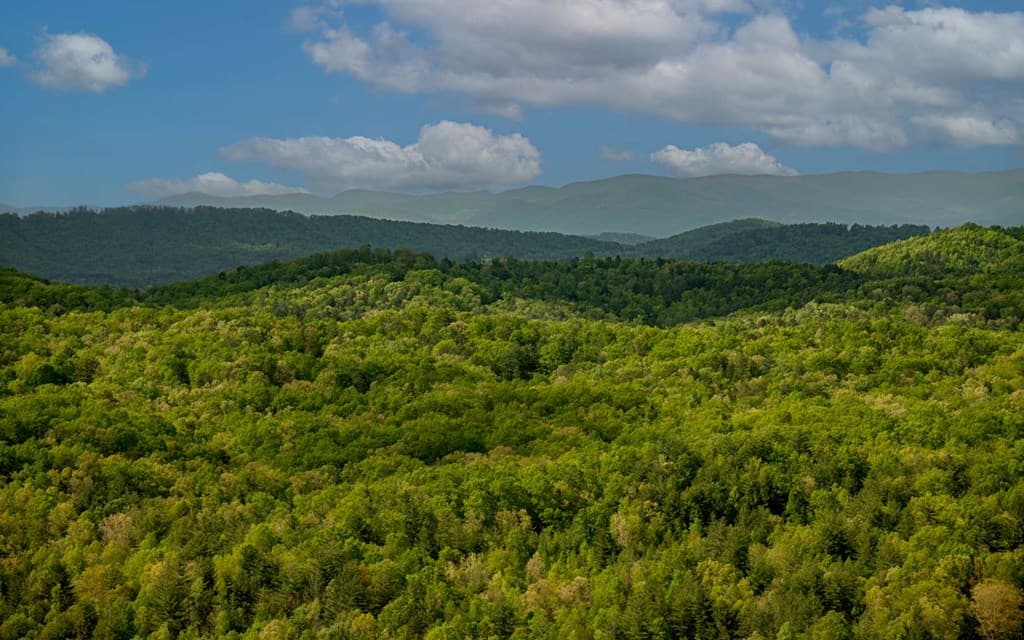 Lot 25 Scouts Overlook, Morganton GA 30560 - Photo